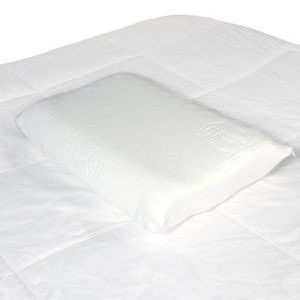 Science of Sleep Contoured Foam Core Ache-No-More Pillow